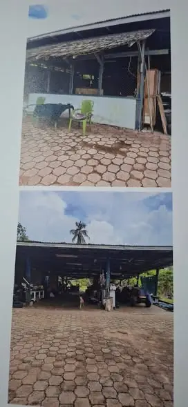 Foto van Hoofdweg Indira Gandhiweg