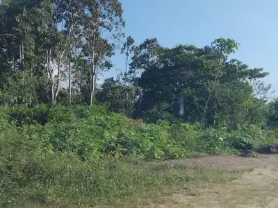 Foto van Abigaelslustweg