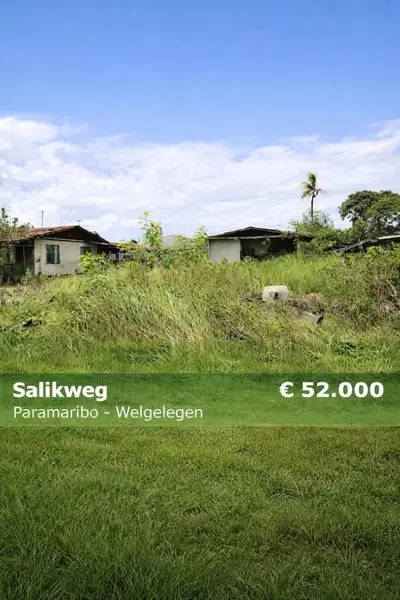 Foto van Salikweg