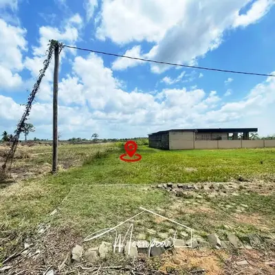 Foto van Omgeving Ringweg