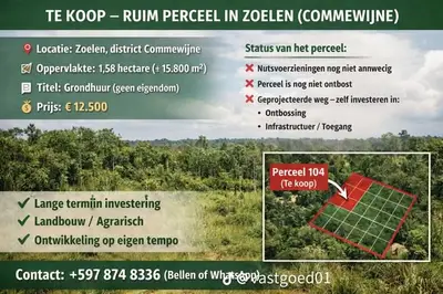 Foto van Geprojecteerdeweg
