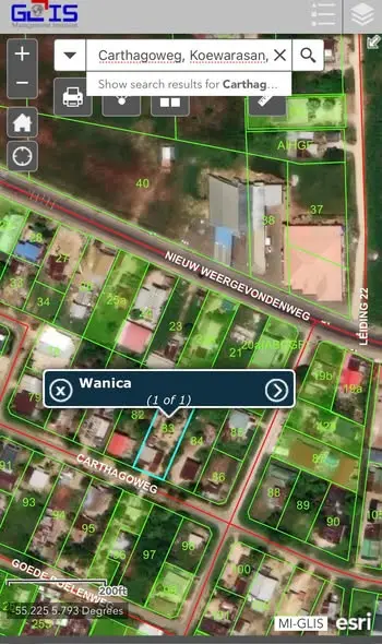 Foto van Carthagoweg