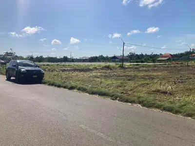 Foto van Tawajaripolderweg