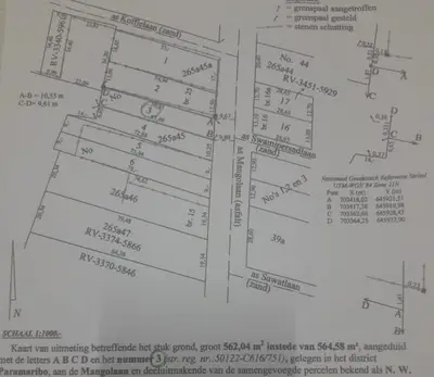 Foto van Mangolaan