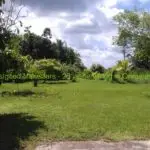 Foto van Wayamboweg