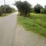 Foto van Volledige Verhardeweg