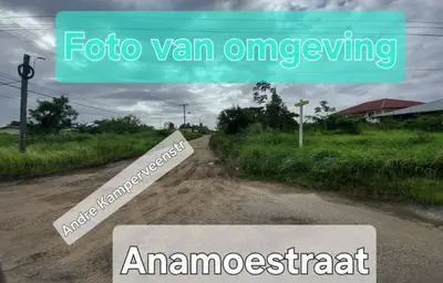Foto van Leo Kolfstraat