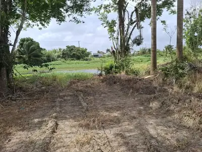 Foto van H Saramacca Kanaal Musahalweg
