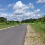 Foto van Wayamboweg