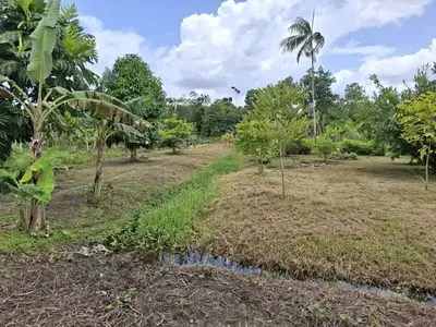 Foto van Libanonweg