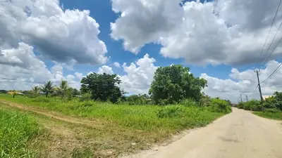 Foto van Meerzorg Timorweg
