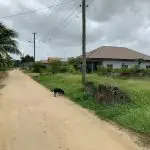 Foto van Natashastraat Oost Zijstr Tineweg