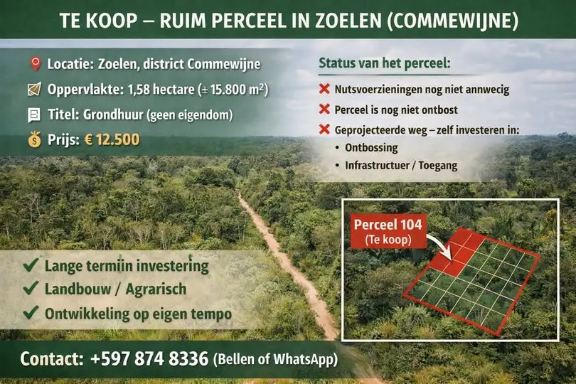 Foto van Geprojecteerdeweg
