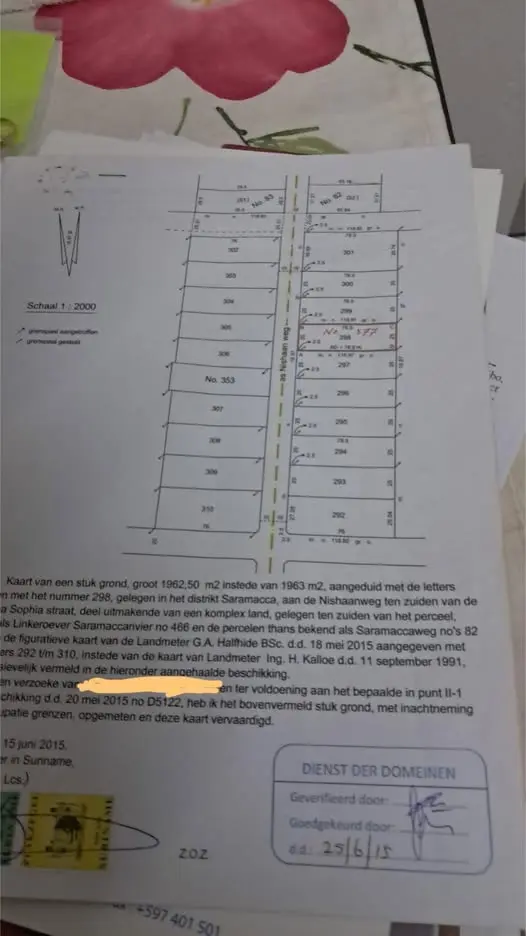 Foto van Nishaanweg