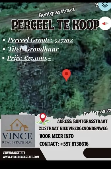 Foto van Buntgrasstraat