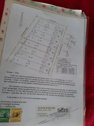 Foto van Bomaweg