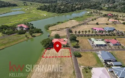 Foto van Palissadepalmlaan