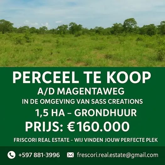 Foto van Magentaweg