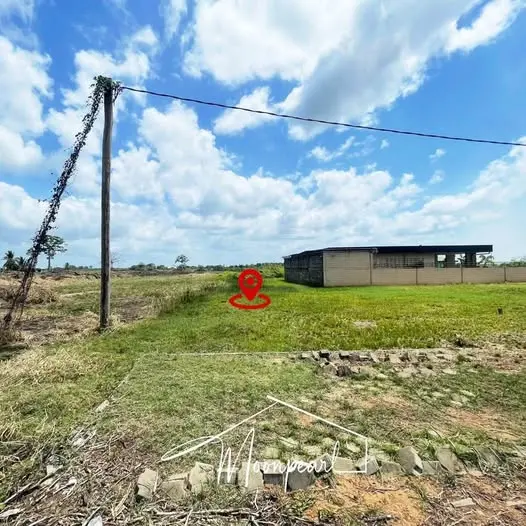 Foto van Omgeving Ringweg