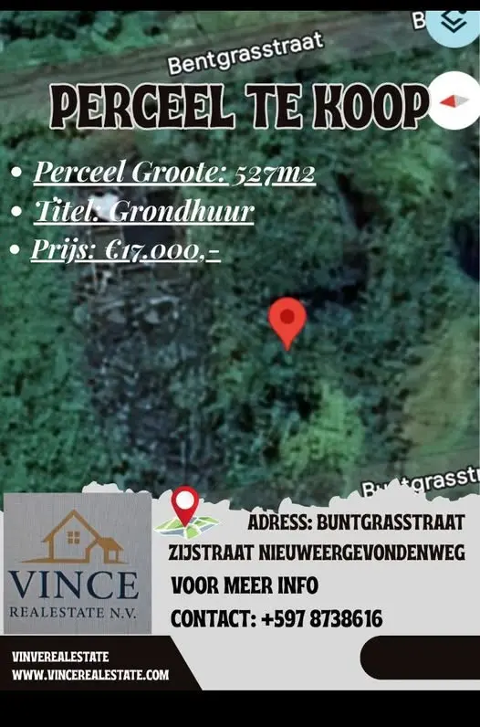 Foto van Buntgrasstraat