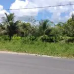 Foto van Wayamboweg