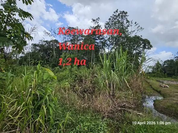 Foto van koewarasan