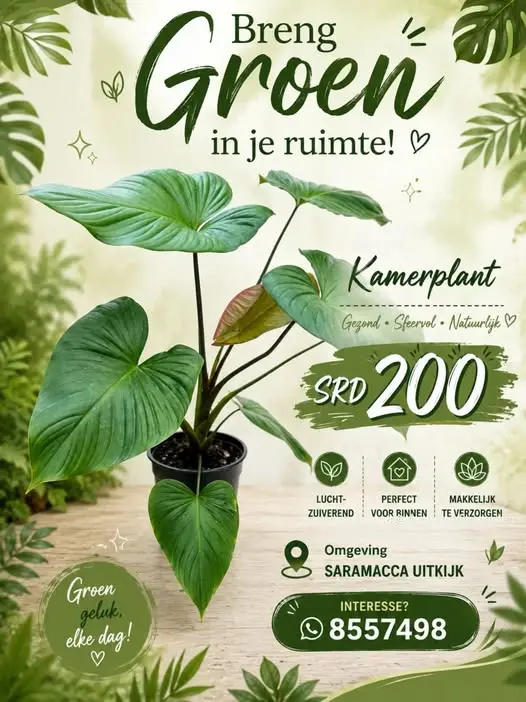 Foto van saramacca