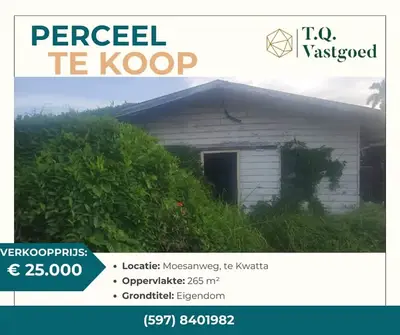 Foto van Moesanweg