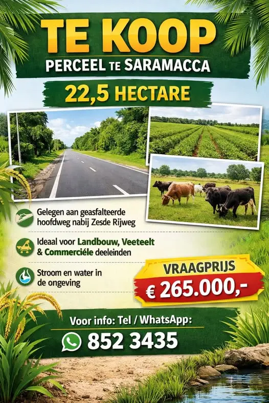 Foto van Saramacca Hoofdweg